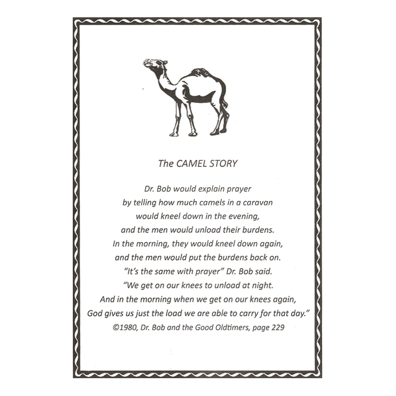 The Camel Story